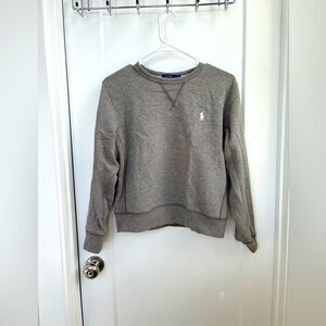 Polo Sweatshirt | Gray | LG